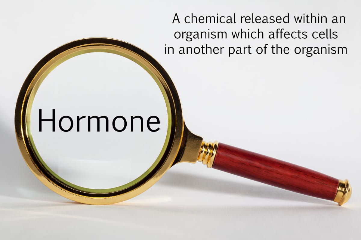 perimenopause symptoms hormones over 40